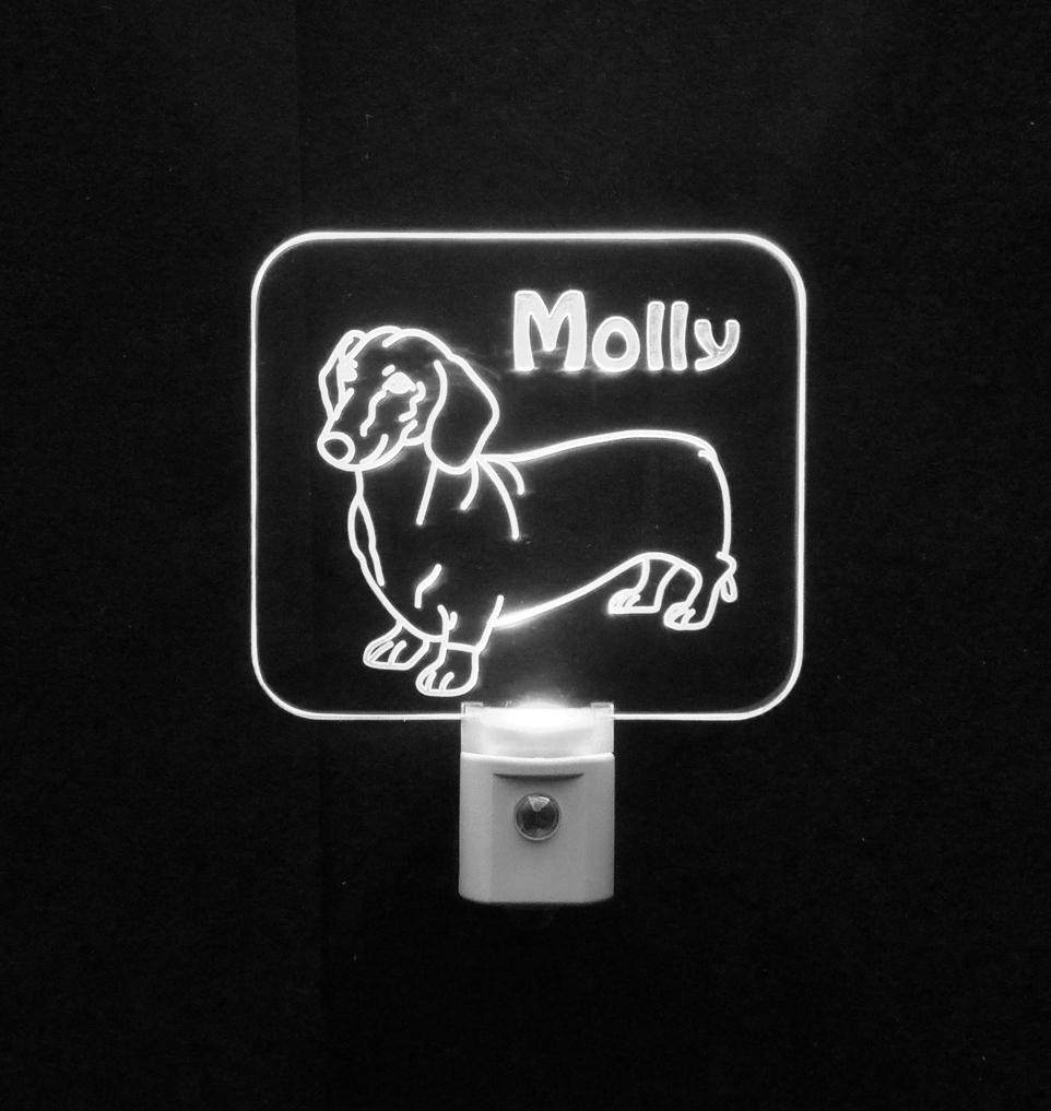 Personalized Wiener Dog, Dachshund Led Night Light on Luulla